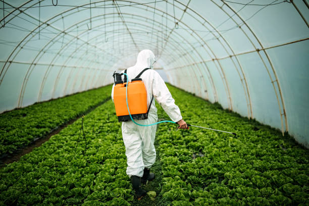 Best Best Pest Control Companies  in Foster City, CA