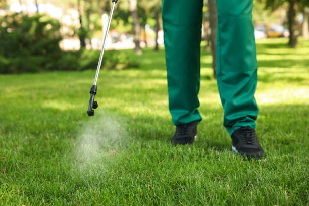 Best Cockroach Control Services  in Foster City, CA