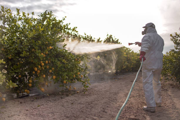 Best Pest Prevention Services  in Foster City, CA