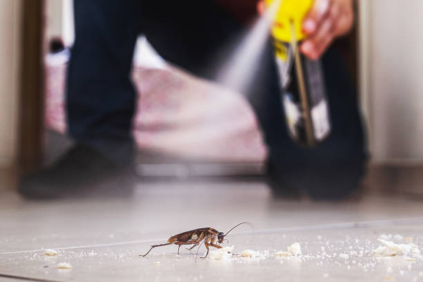 Pest Control for Restaurants in Foster City, CA