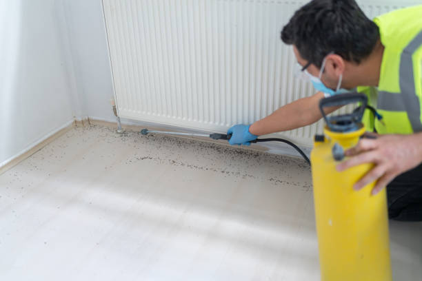 Best Ant Control Services  in Foster City, CA