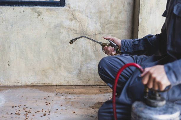 Best Affordable Pest Control Services  in Foster City, CA